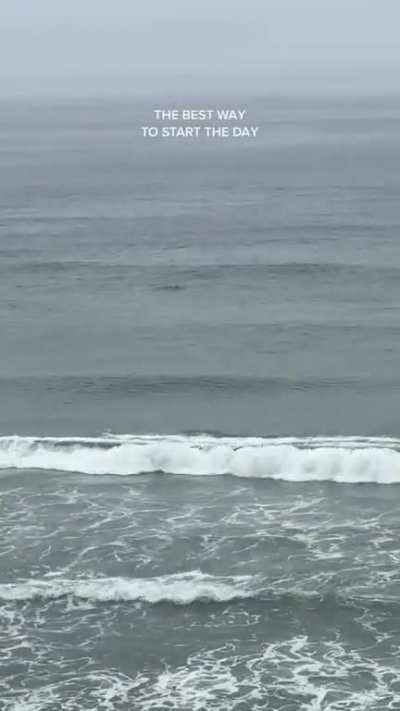 Sydney starting her day by enjoying the view in San Diego (April 2023)