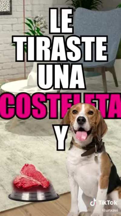 Perro vegano