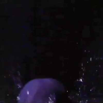 Making a splash