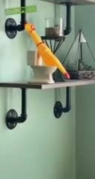 Big chicken