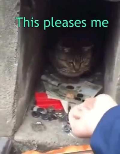 Khajit will keep your coins safe for he is trust worthy.