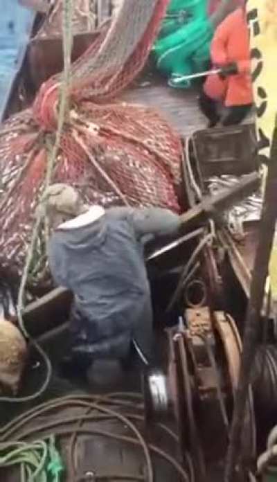 Nice catch