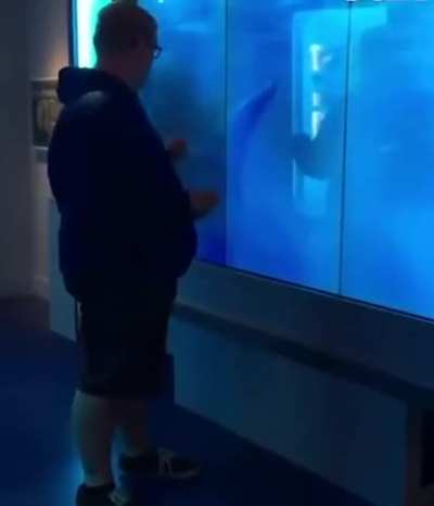 Tapping on the glass