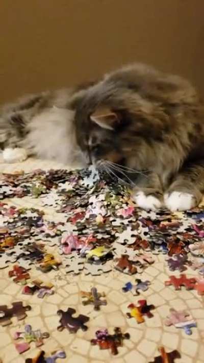 Poof getting a piece of that puzzle