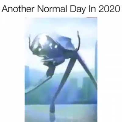 2020