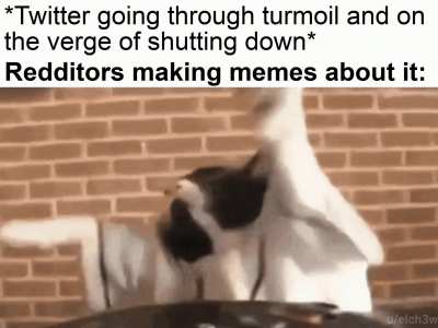 me_irl