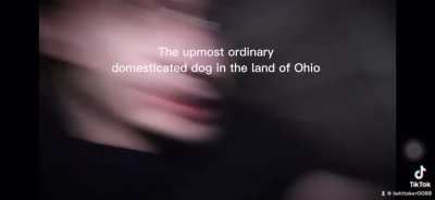 Not again