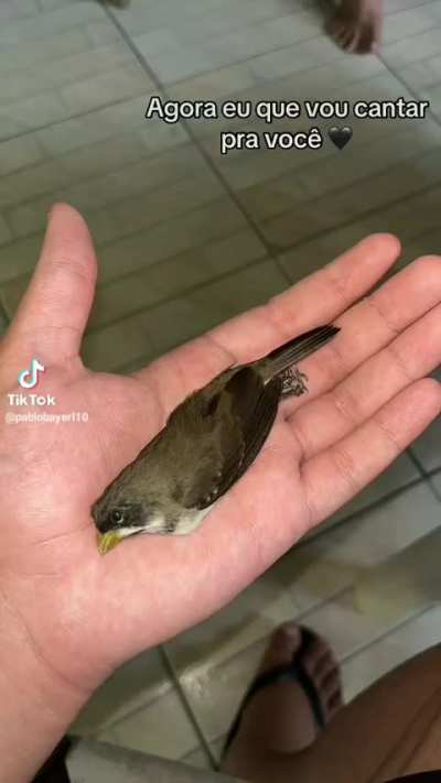 F