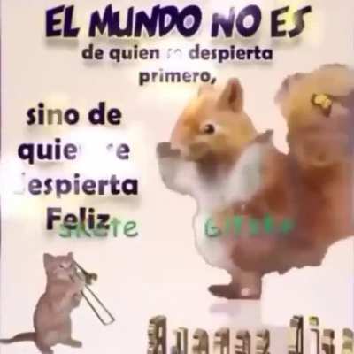 bom dia web amigos