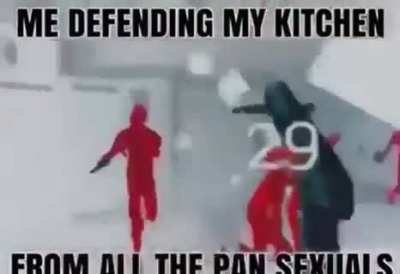stop scrolling through Reddit brother we must defend the kitchen from the pansexuals