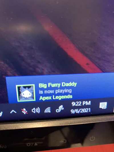 furry_irl