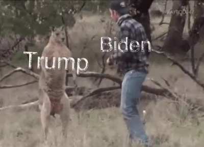 His reputation was destroyed