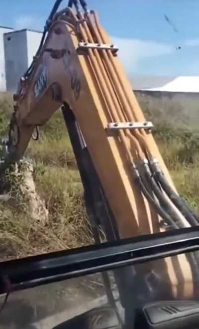Man obliterates hornet’s nest with a backhoe, then thinks it through.