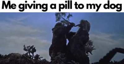 Just eat it