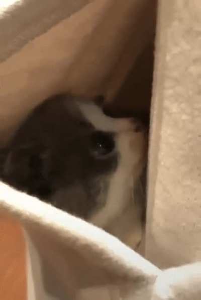 Safe in the pocket.