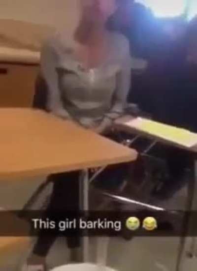 do a pit bull
