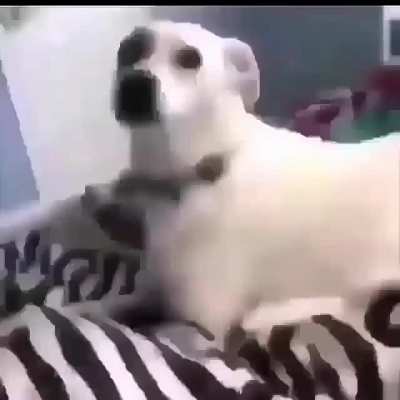 O.o