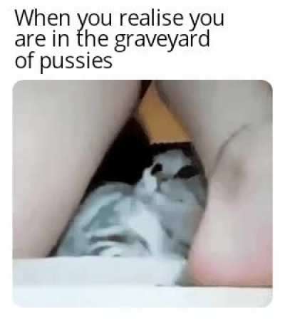 Only Fans gave us.......