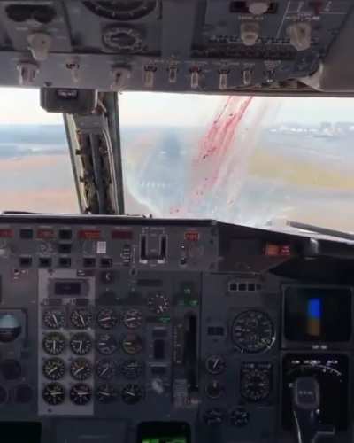 Flight Deck POV of bird strike