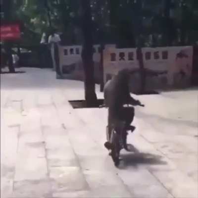 😎