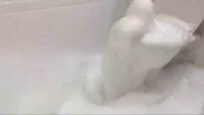 WHITE LATEX IS REAL...