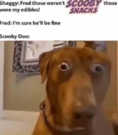 ruh roh raggy