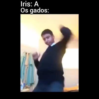Gado nem é gente