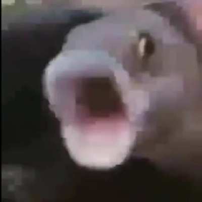 AAAAAAAAAAAAAAAAAAAAAAAAAAAAAAAAAA