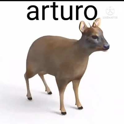 andava fatto