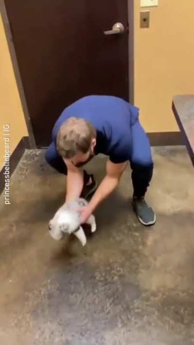 Wiggle butt.