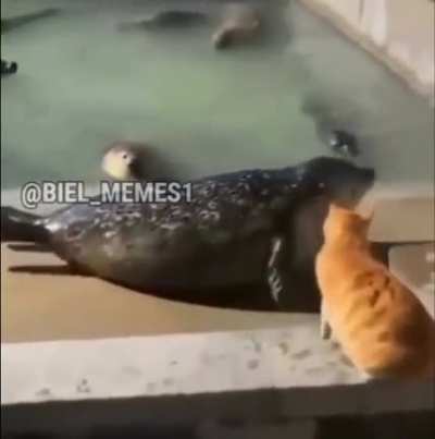 Até quando?😭