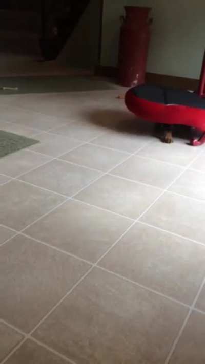 Tough guy