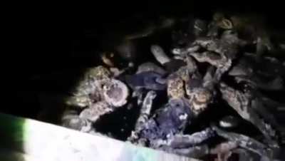 (Gruesome) Potential child organ harvesting catacombs discovered under a Hospital, looking for a translation, bodies look months old and phone time stamp is 12/26/2022. NSFW. Children’s clothes scattered