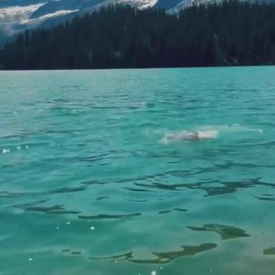 Peyton taking a swim