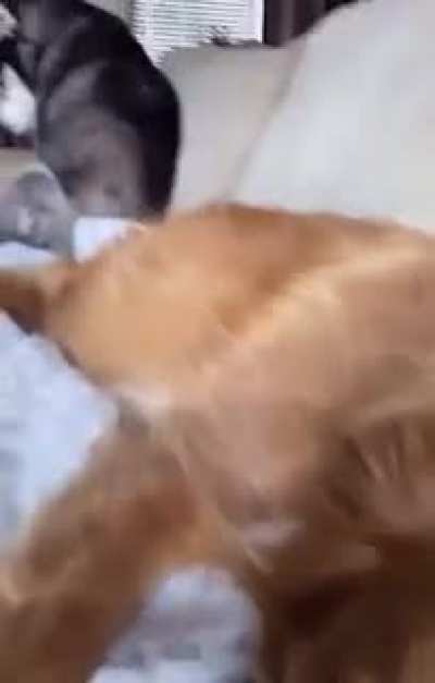 Wait for it