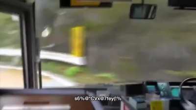 A professional bus driver