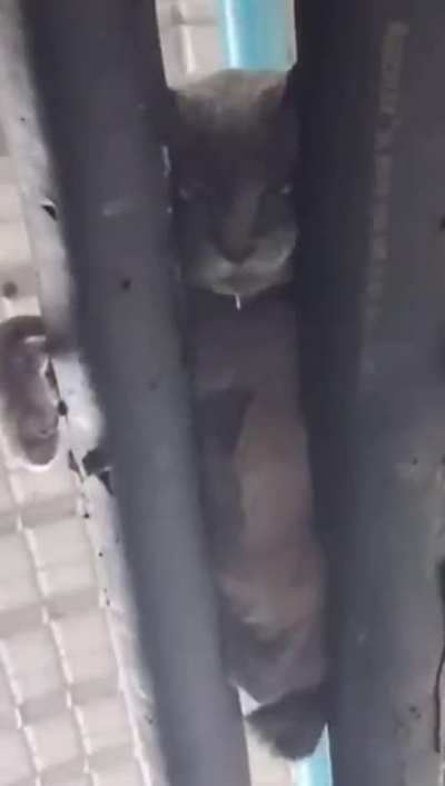 Sleeping on top of two pipes feels perfectly comfortable