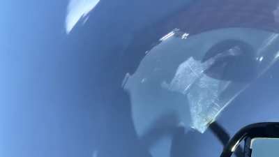 A Big Loop in a P-51D! [Video]