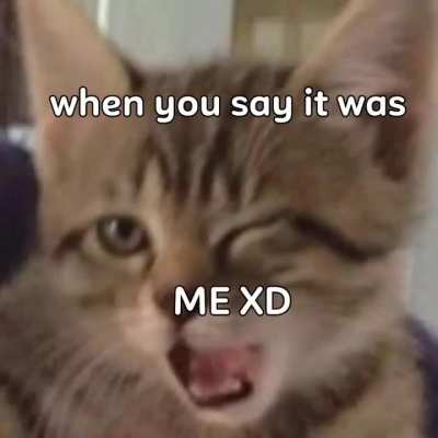 Kitty