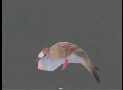 Pijon