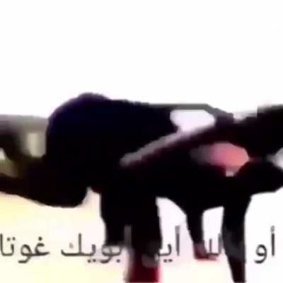 no pongbob that is haram!!11!!11!!!