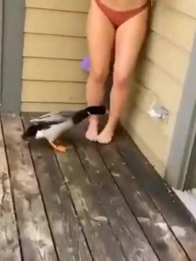 KILL HER, JERRY!