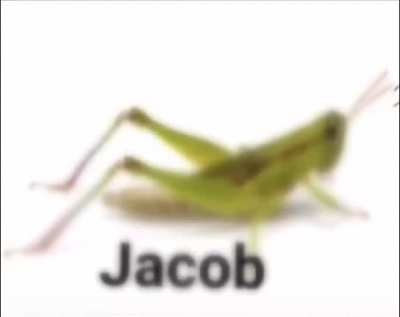 jacob