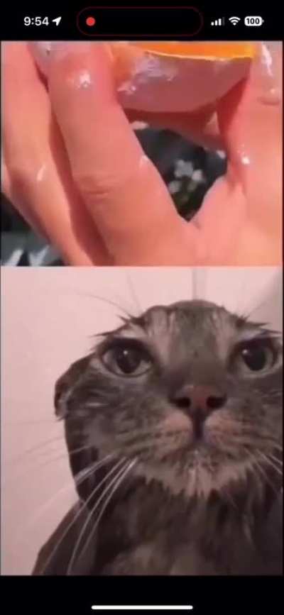 I’m 15 and this is yeet