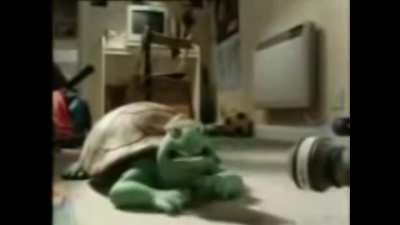 wtf canta re piola