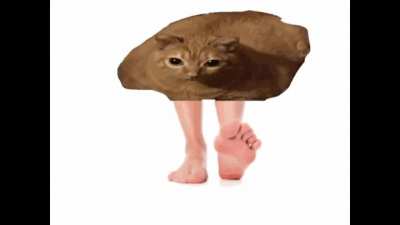 i saw the gwa gwa cat on ylyl 13 and knew what i had to do. someone should send this to wilbur next ylyl lmao