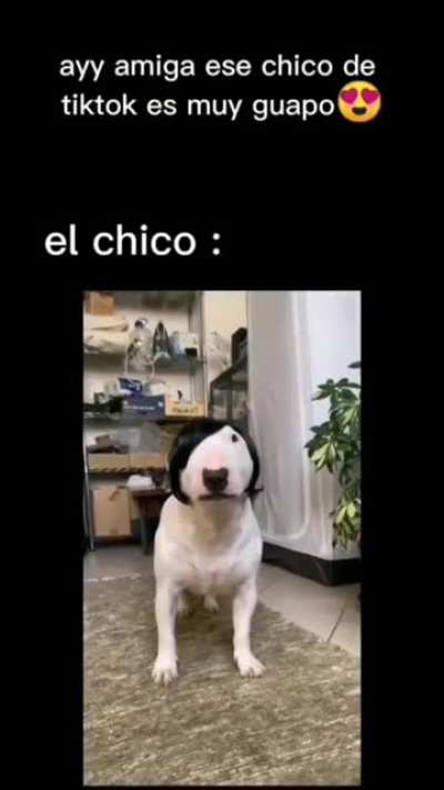 Elena: ay amiga ese chico de youtube es muy guapo