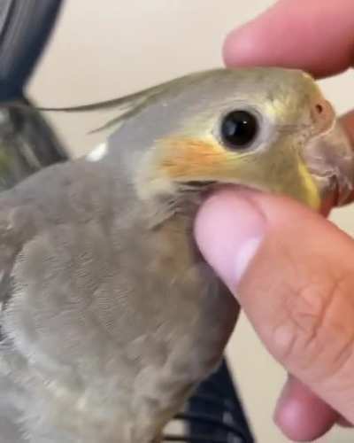 Look at this Baby