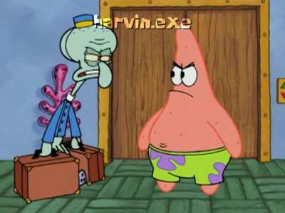 What's in these bags? ROCKS?!