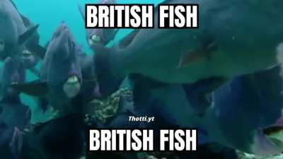 Fish rule